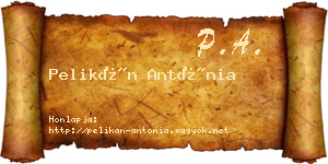 Pelikán Antónia névjegykártya