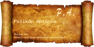 Pelikán Antónia névjegykártya
